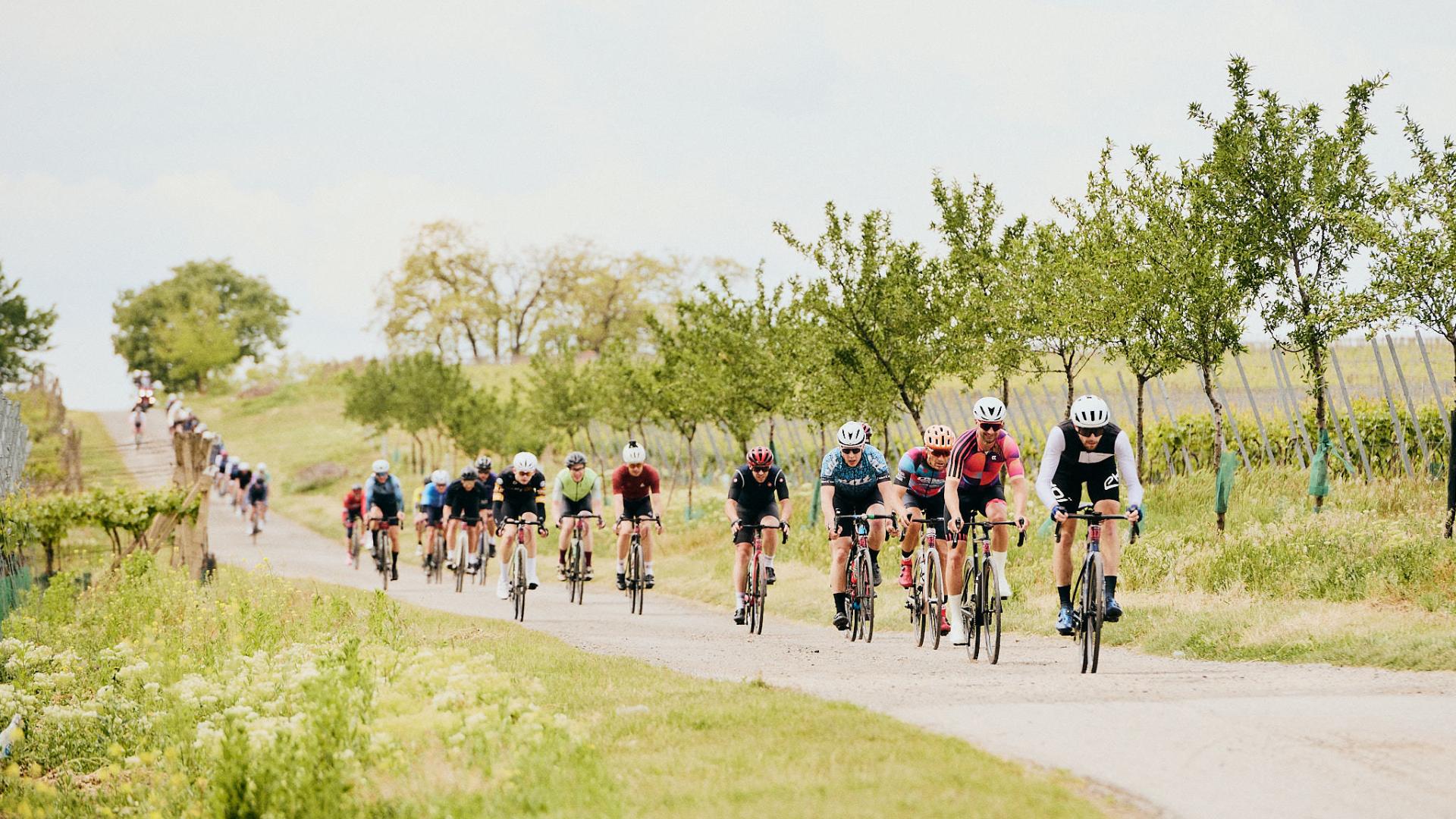 Seriál Road Classics odstartoval na Pálavě v rekordním počtu účastníků!